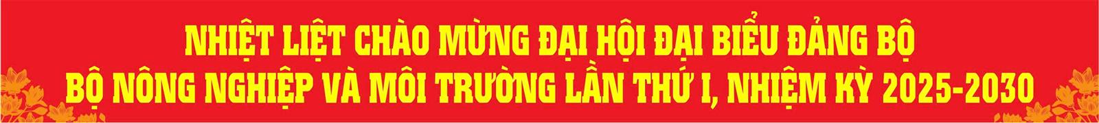 đai hoi dang bo