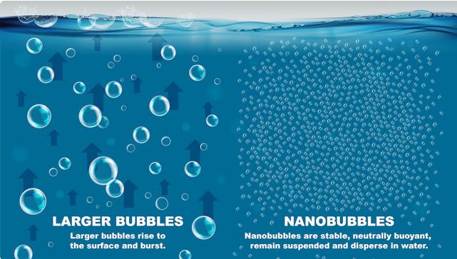 Application of nanobubble technology in seafood preservation: Potentials and challenges