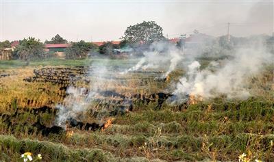 Current situation and proposed solutions to minimize environmental pollution from agricultural production in Hanoi