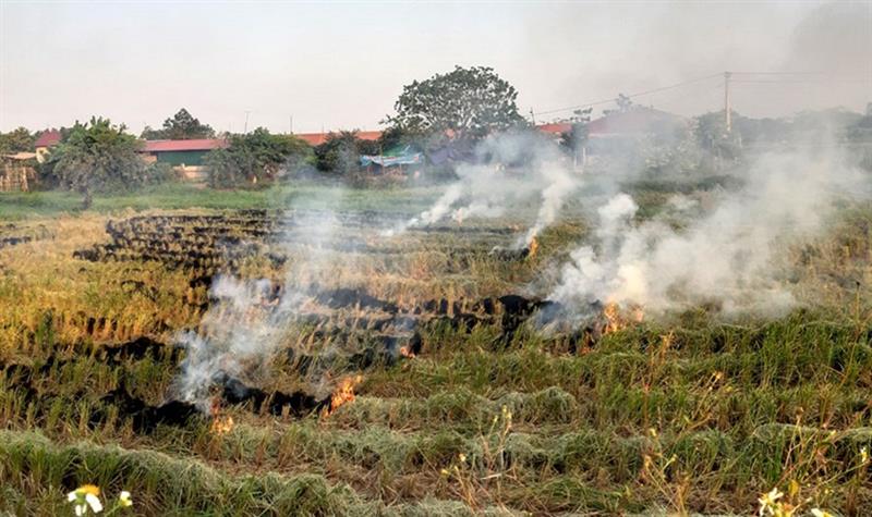 Current situation and proposed solutions to minimize environmental pollution from agricultural production in Hanoi